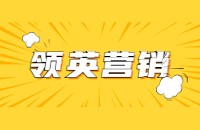 LinkedIn自动化营销功能