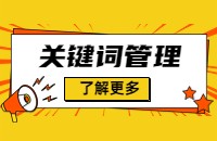 关键词管理操作